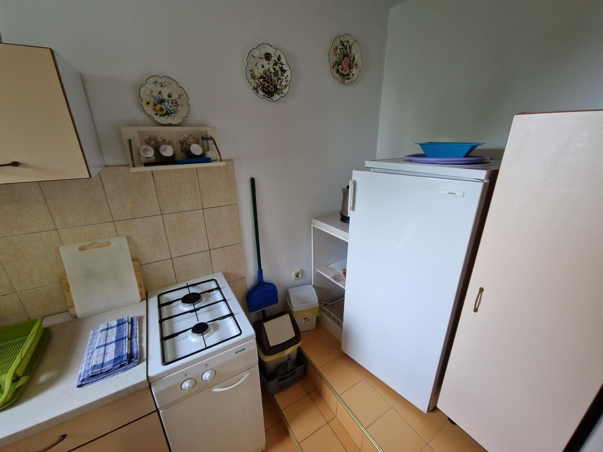 Apartments Zlatko Ičići 部屋 写真